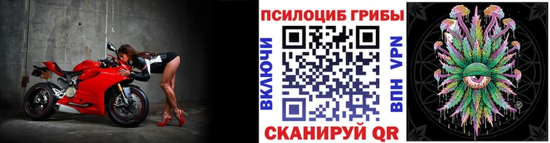 Галлюциногенные грибы Psilocybe  Инта 